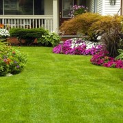 Affordable Lawn Mowing Price Melbourne