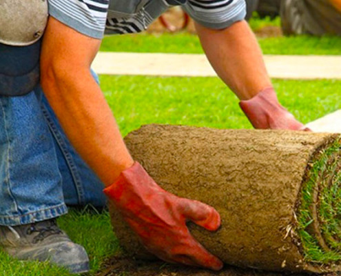 lawn-maintenance lawn-maintenance