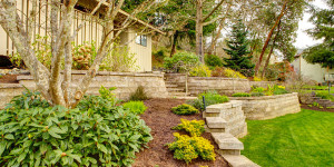 Regular Lawn Care Wellington